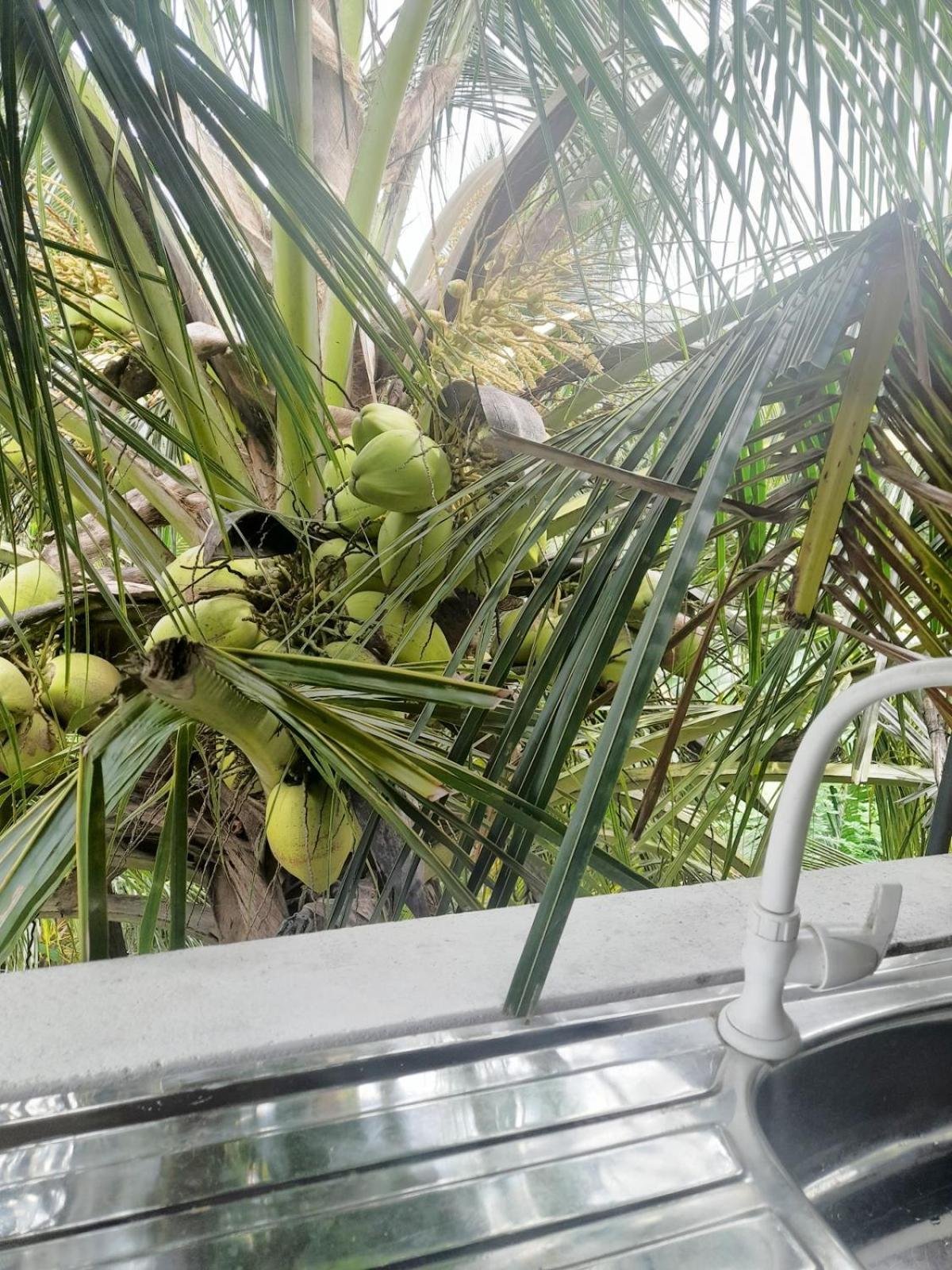 Dinuri Villa Tangalle Eksteriør bilde